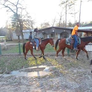 Meet your Posher, Deonica